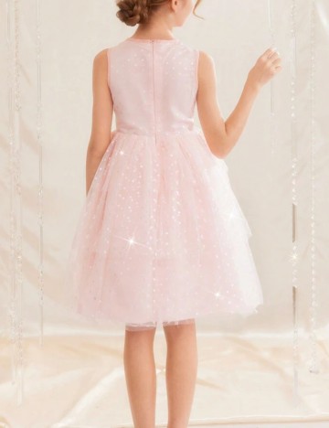 Rochie Shein, roz