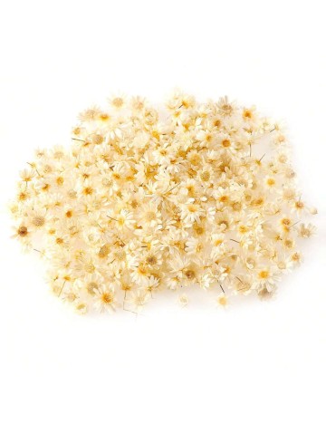 Set flori uscate Shein, mix culori