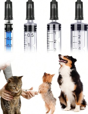 Set seringi Shein, transparent