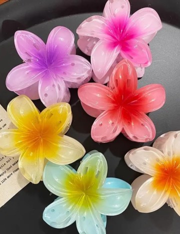 Set Clame Shein, mix culori